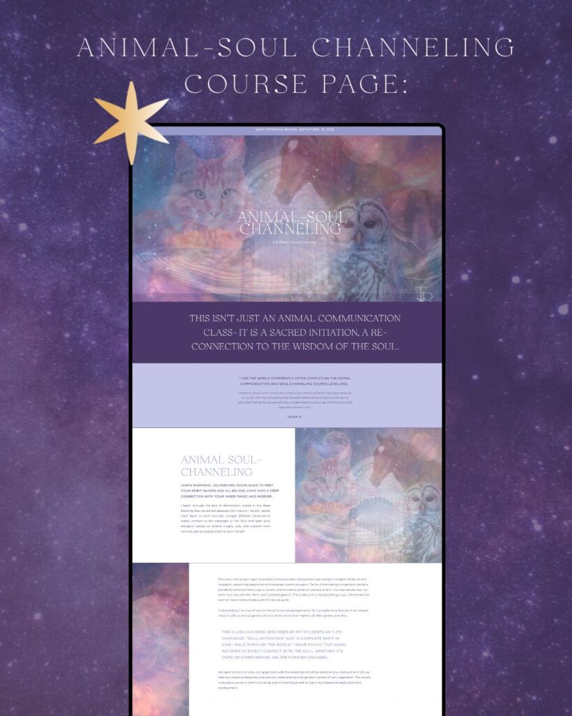 Cosmic Sales Page for animal communication course, branding and website design