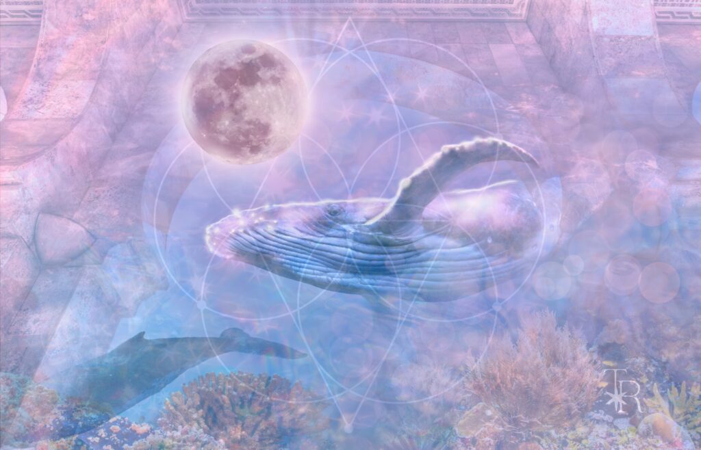 Cosmic Whale Collage, whales swimming in cosmic sea beneath full moon