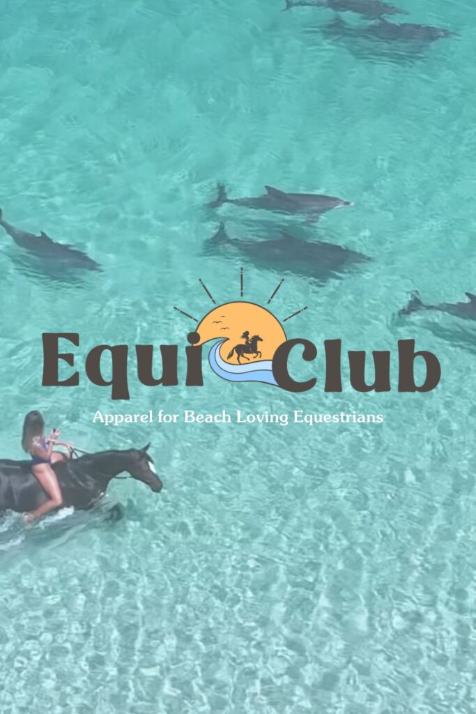 Aerial view of Girl riding horse bareback in the ocean and dolphins swimming around her, Equiclub is an equestrian apparel brand made for ocean, beach loving horse girls. 