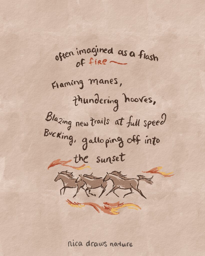 Drawing of horses galloping with fire flames