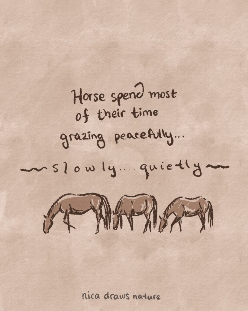Drawing of 3 horses grazing quiety