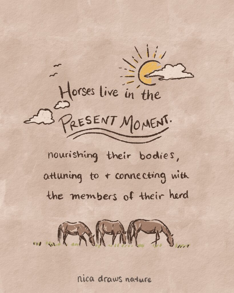 Drawing of horses grazing, horses live in the present moment