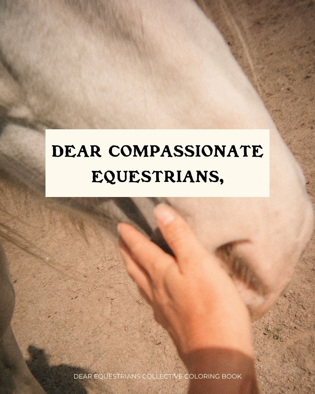 hand gently touching horse muzzle